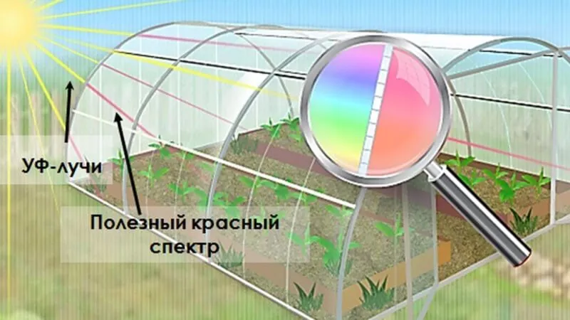 пропускание света через поликарбонат