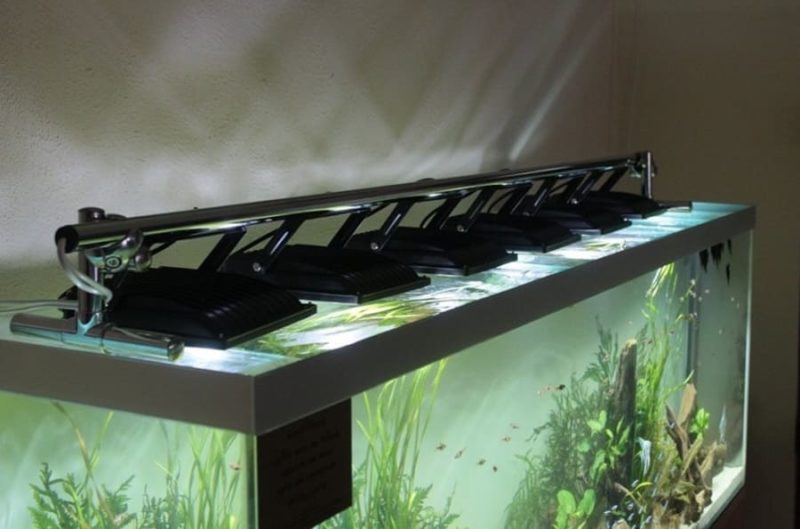 Освещение аквариума светодиодными