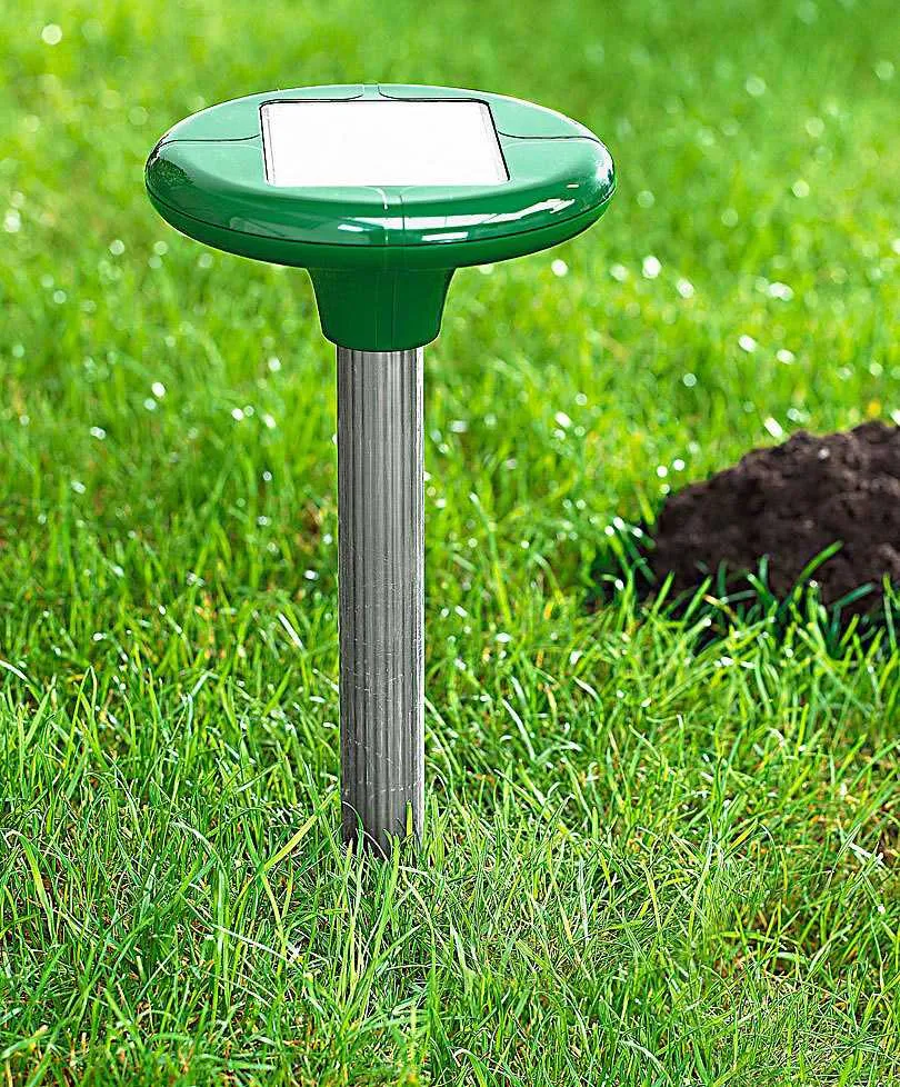 Отпугиватель кротов. gazon-posle-zimyi-foto-video-kak-vosstanovit-gazon-posle-zimyi-90