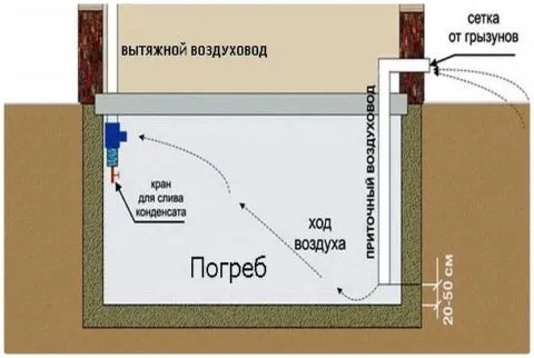 Вентиляция в подвале