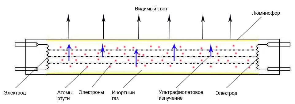 Описание и технические характеристики люминесцентных ламп