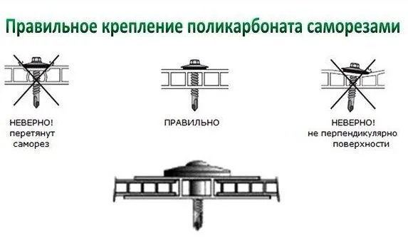 Правильное крепление поликарбоната саморезами