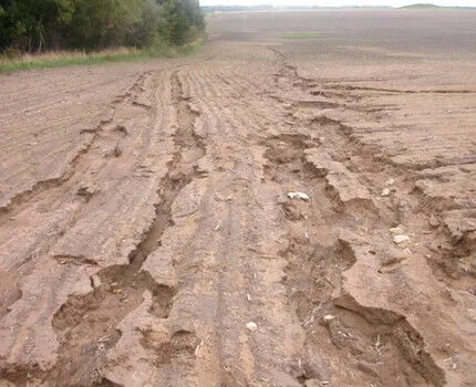 Дренаж участка с водной эрозией своими руками Земля, подвергшаяся воздействию водной эрозии
