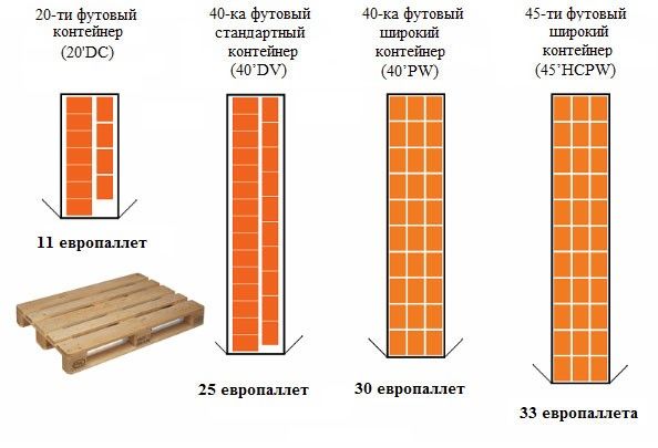 Виды, размеры и классификация всех