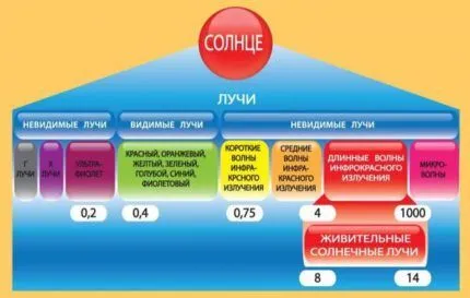 Свойства инфракрасного отопления для частного дома Преимущества инфракрасного отопления для дома