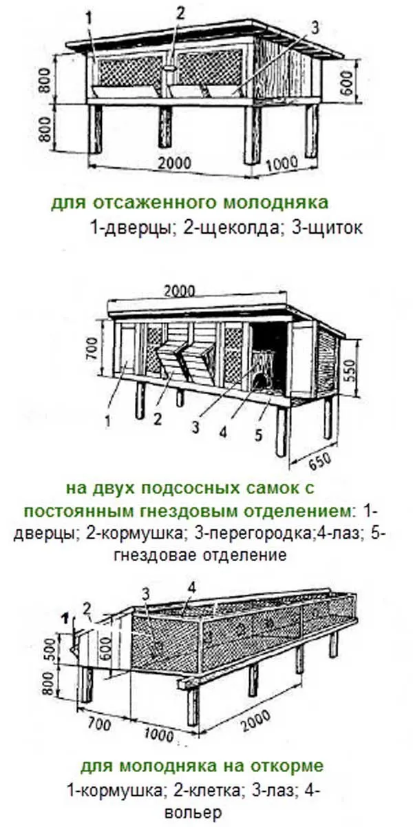 Чертежи основных типов клеток