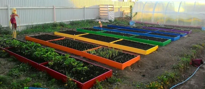 Грядки из цветных ПВХ панелей Грядки из цветных ПВХ панелей