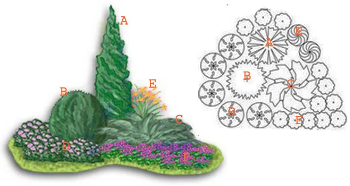 как составить цветник с хвойниками