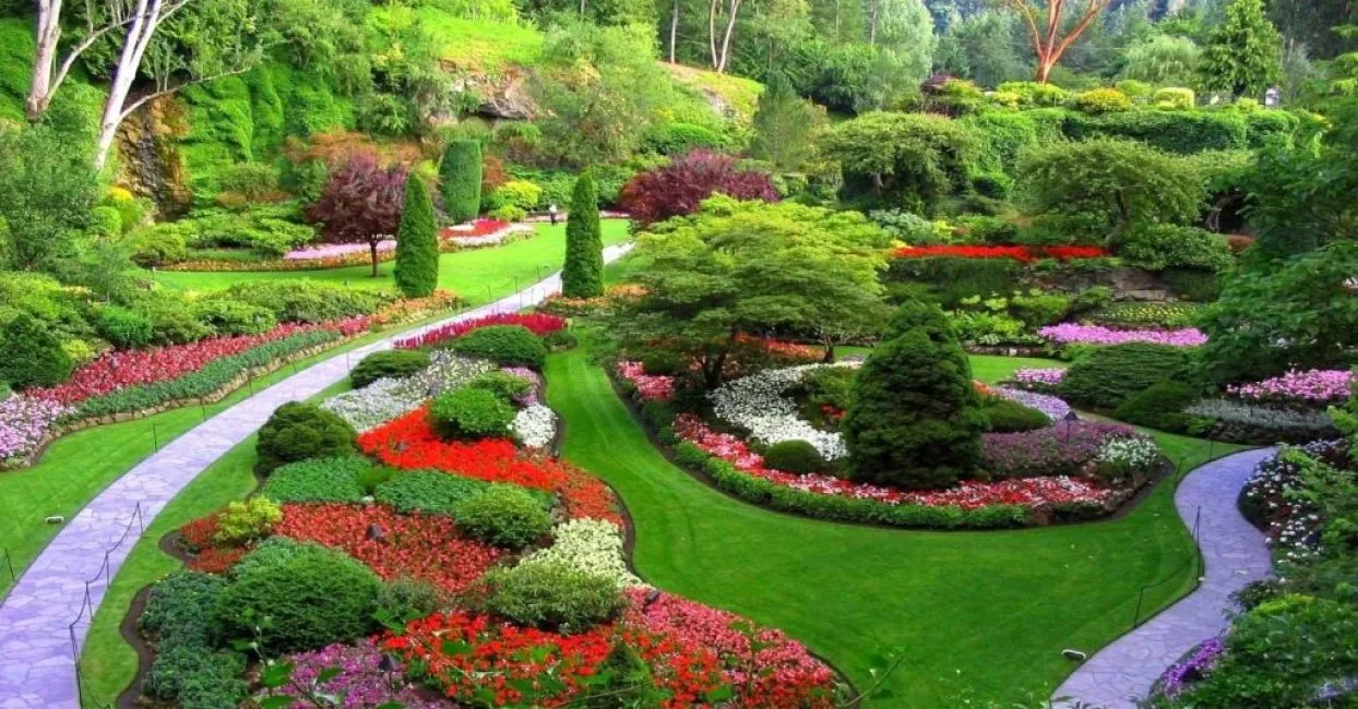 Великолепный цветущий сад