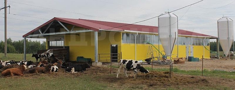 Строительство животноводческой фермы