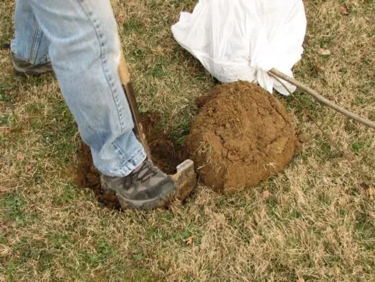 Начинаем готовить посадочную яму для груши