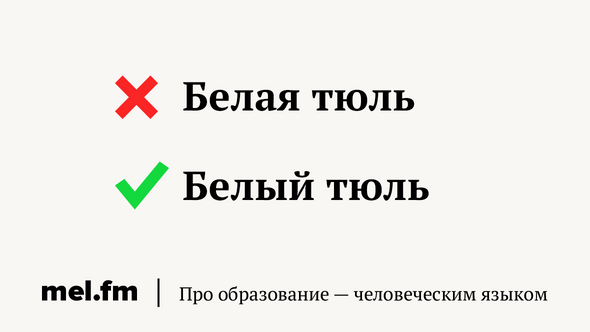 9 слов, в роде которых часто ошибаются