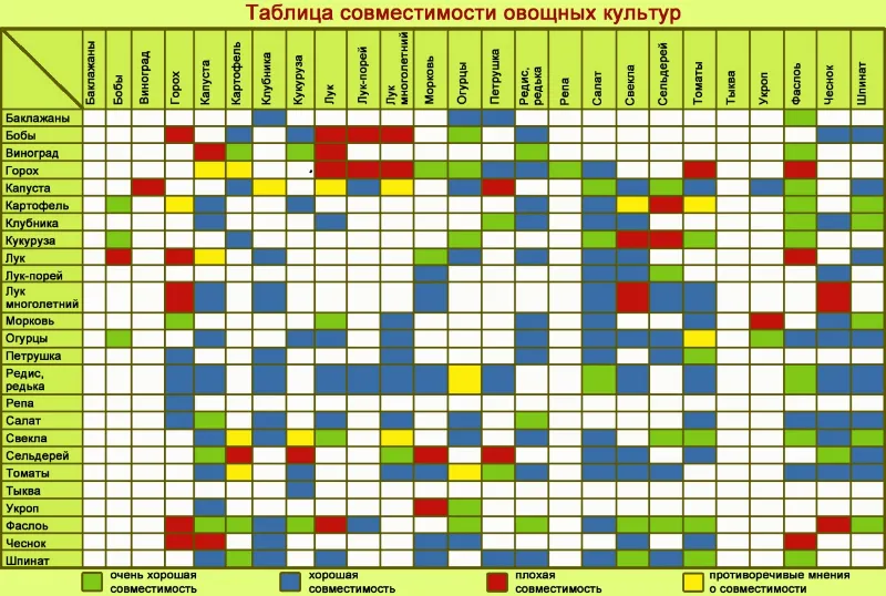 Узнайте о сочетаемости растений