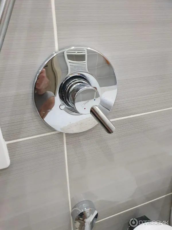 Гигиенический душ Hansgrohe. Наружная часть смесителя