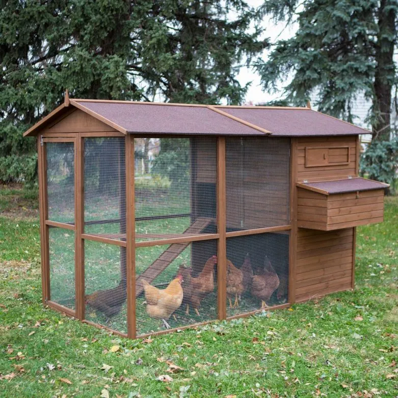 Курятник для дачи - инструкции по постройке и фото описание как изготовить на даче дом для кур