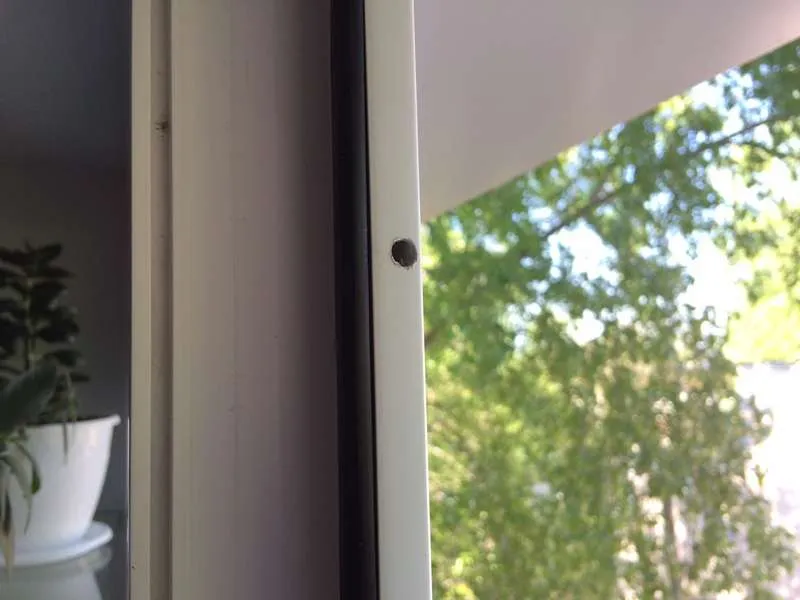 Москитная сетка на окна — разновидности, способы установки, полезные советы