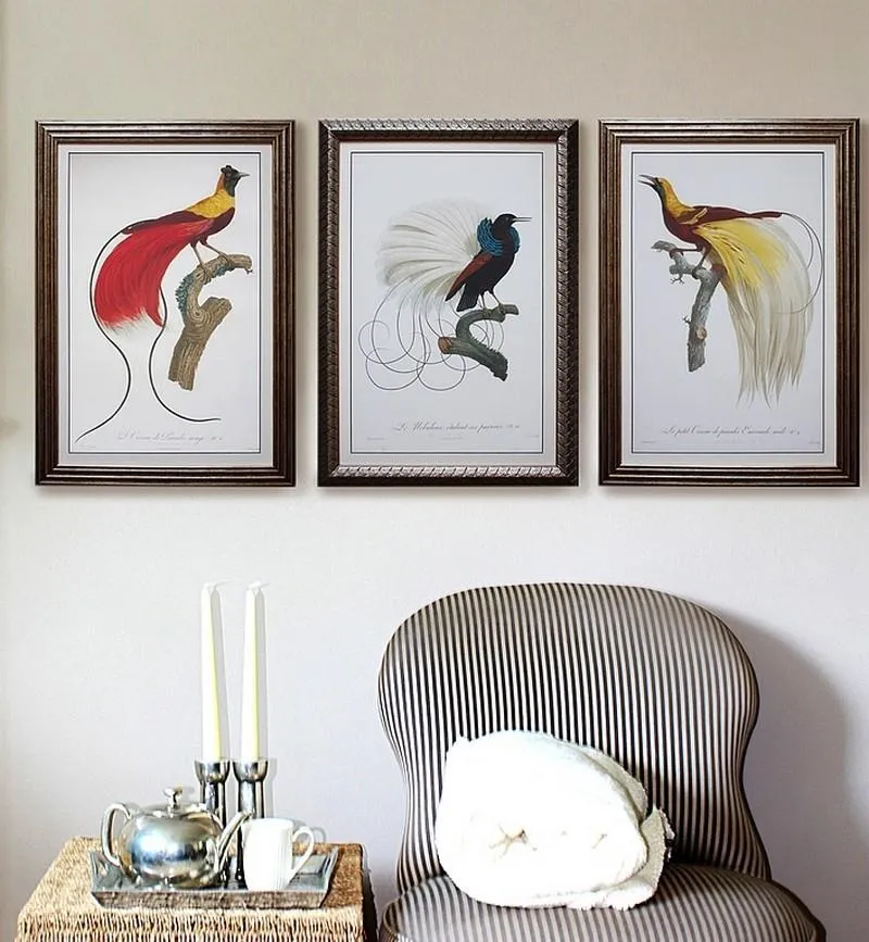 Картины птиц в коридоре