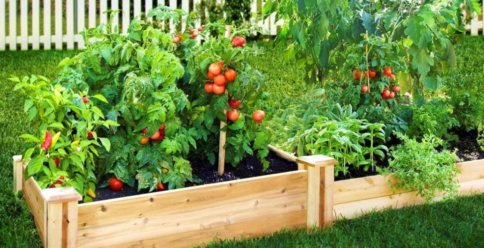 Как сделать высокую грядку - GreenMarket Как сделать высокую грядку - GreenMarket