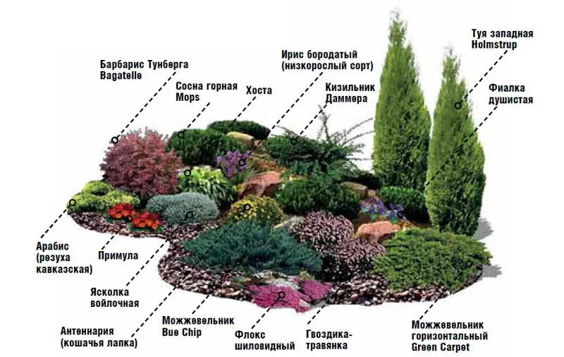 Схема наполнения альпинария