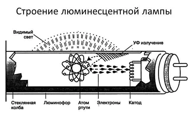 Колба газоразрядной лампы в разрезе