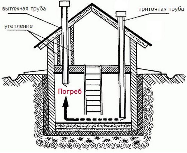 Выкопать погреб в гараже своими руками