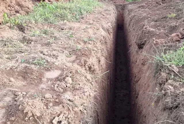 Бассейн в теплице из поликарбоната: фото, пошаговая инструкция + отзывы