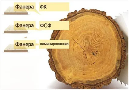 fanera obzor raznovidnostey