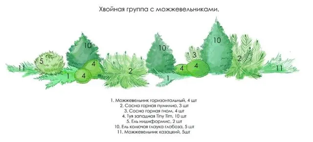 Миксбордер из хвойных и кустарников: готовые схемы + изумительные идеи с фото