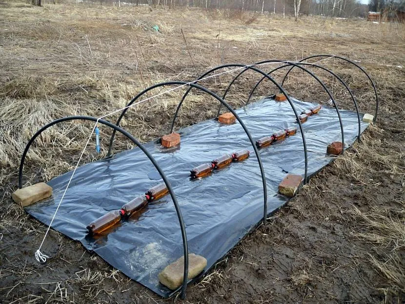 Чтобы земля быстрее прогрелась Чтобы земля быстрее прогрелась