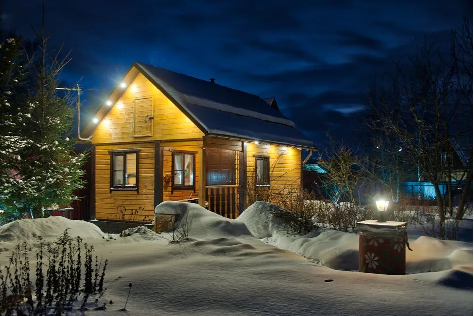 Фото:Arthur Lookyanov\shutterstock