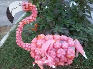 Розовый фламинго донышки бутылок фото