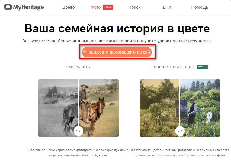 Загрузка черно-белого фото в MyHeritage