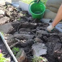 Перекопайте участок земли на штык лопаты и удалить дерновый слой Перекопайте участок земли на штык лопаты и удалить дерновый слой