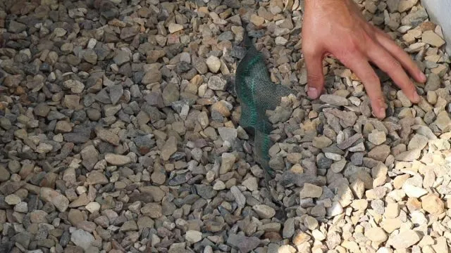 Покрытие из щебня Покрытие из щебня