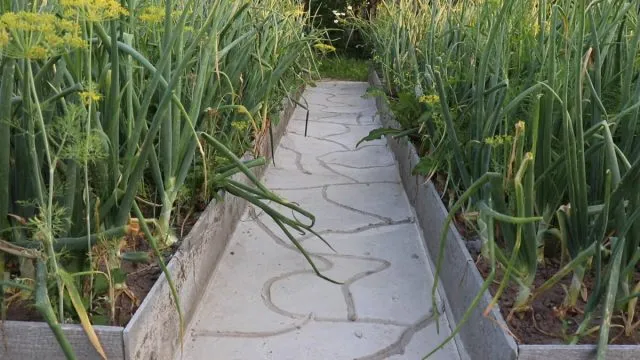 Бетонные дорожки Бетонные дорожки