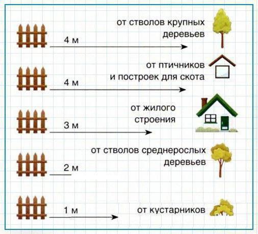 Расстояние от деревьев до забора (нормы