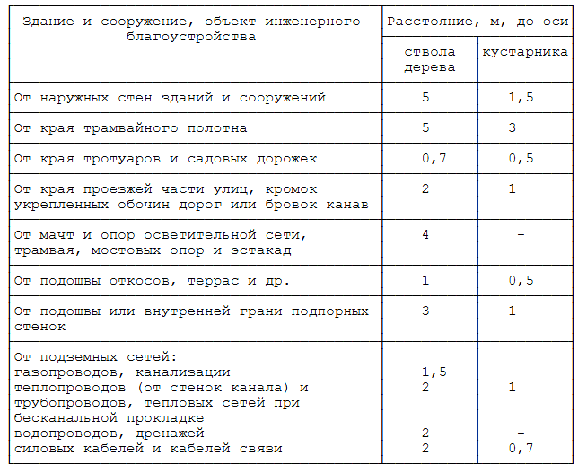 Расстояние посадки деревьев от