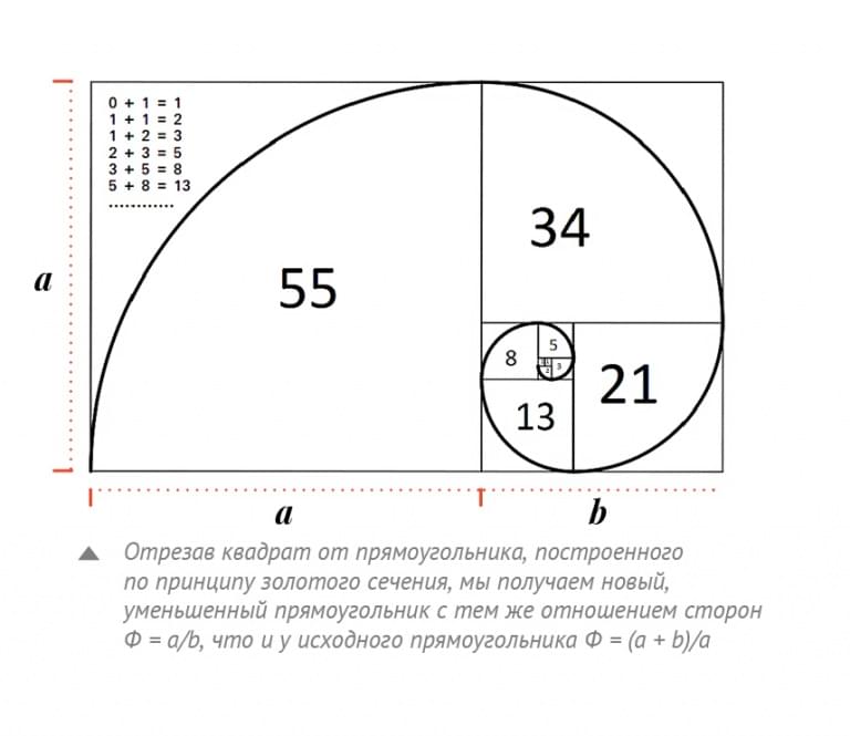 Числа Фибоначчи: что, как и почему Числа Фибоначчи: что, как и почему