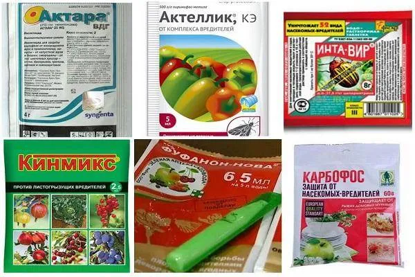 kartinka 7. himpreparaty