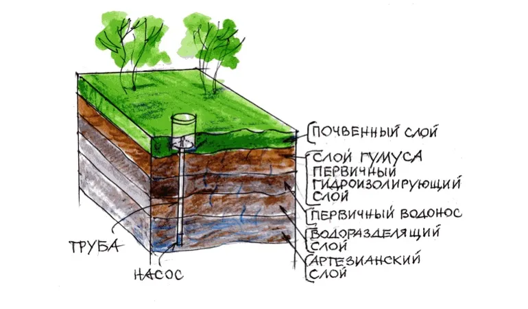 Как найти воду на участке