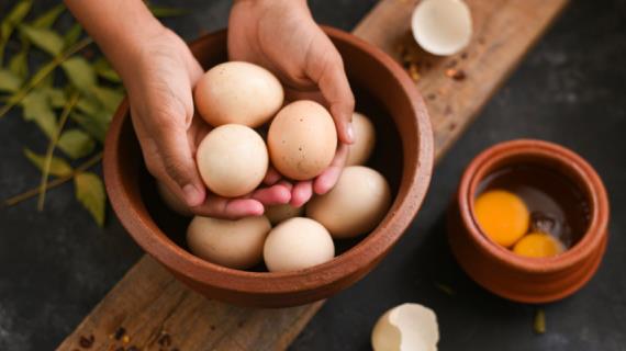 Куриные яйца - описание продукта, как Куриные яйца - описание продукта, как