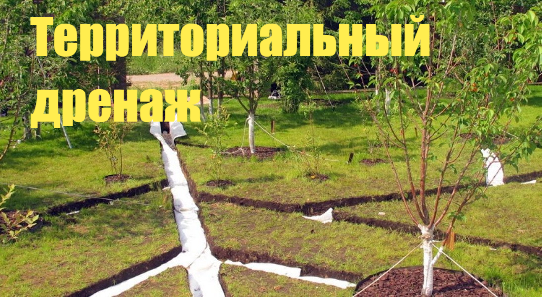 Дренаж участка под ключ, цены на дренаж Дренаж участка под ключ, цены на дренаж