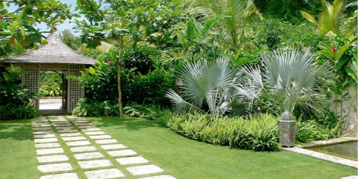 лёгкий дизайн садового участка с тропическими растениями 