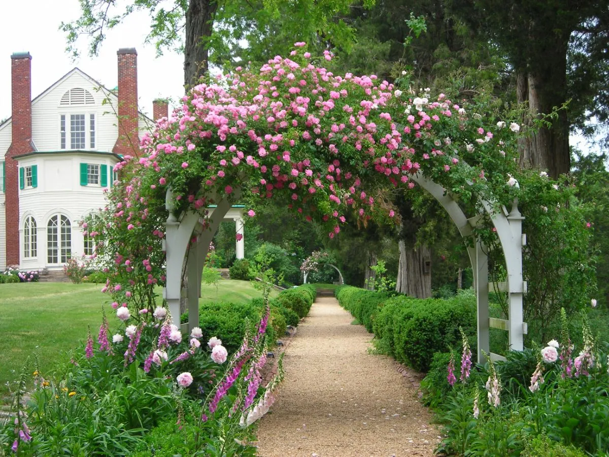дизайн садового участка с аркой из роз