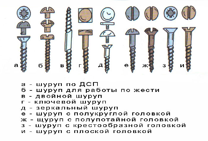 Шуруп: каких размеров бывают, как Шуруп: каких размеров бывают, как