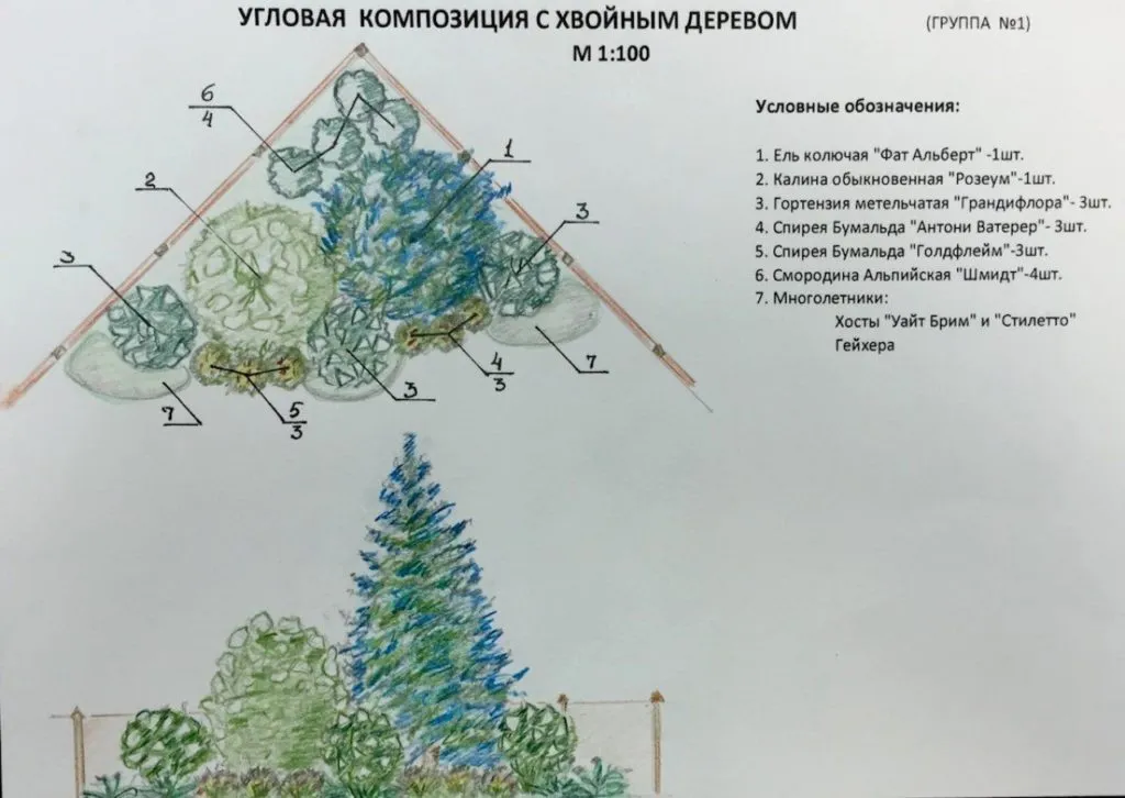 Как сделать миксбордер из хвойных и кустарников — схемы и оформление 