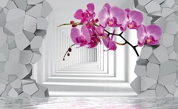 Фотообои 3D композиция с орхидеей