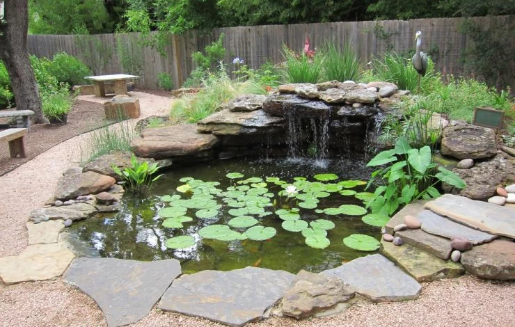 how-to-build-a-pond.jpg