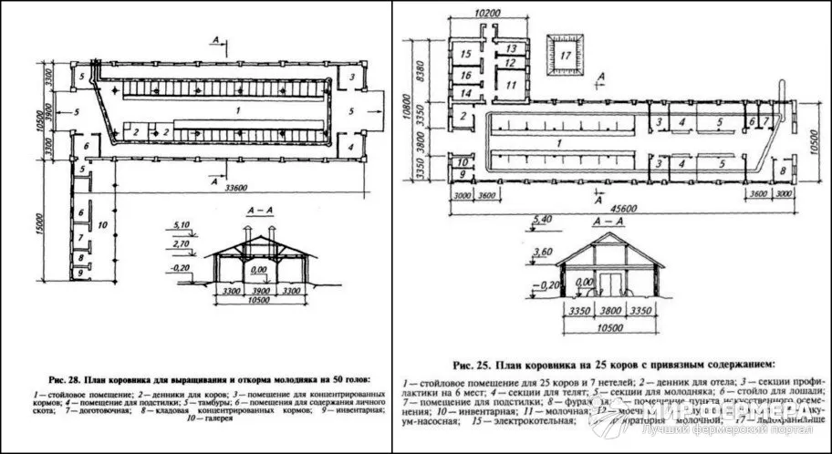 Чертеж коровника