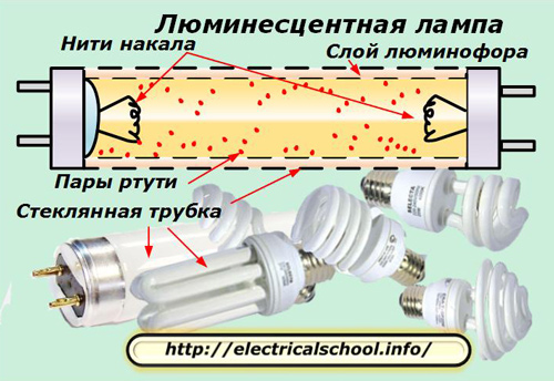 Как устроены и работают